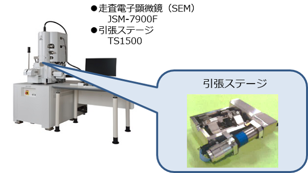 走査電子顕微鏡(SEM)