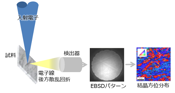 EBSDの原理図