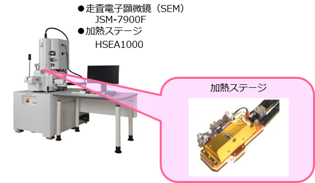 走査電子顕微鏡(SEM)