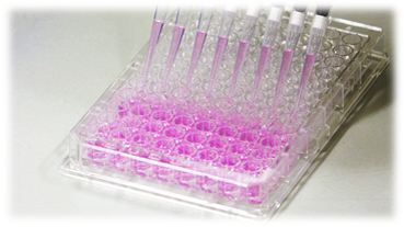 ELISA：吸光測定によるアレル物質の定量