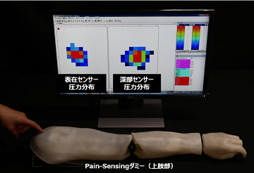 Pain-Sensingダミー(上肢部)