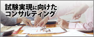 試験実現に向けたコンサルティング