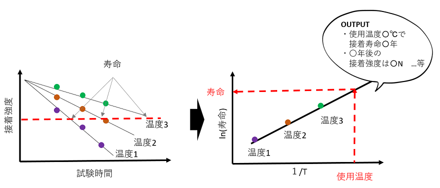 接着強度の寿命を予測