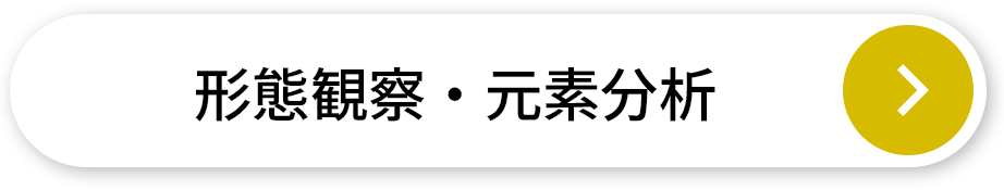 形態観察・元素分析