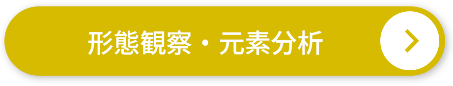 形態観察・元素分析