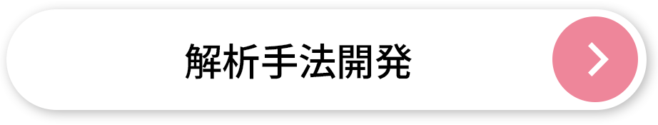 解析手法開発