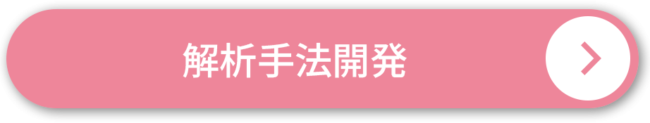 解析手法開発