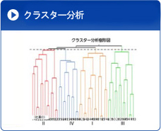 クラスター分析