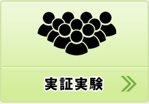 実証実験