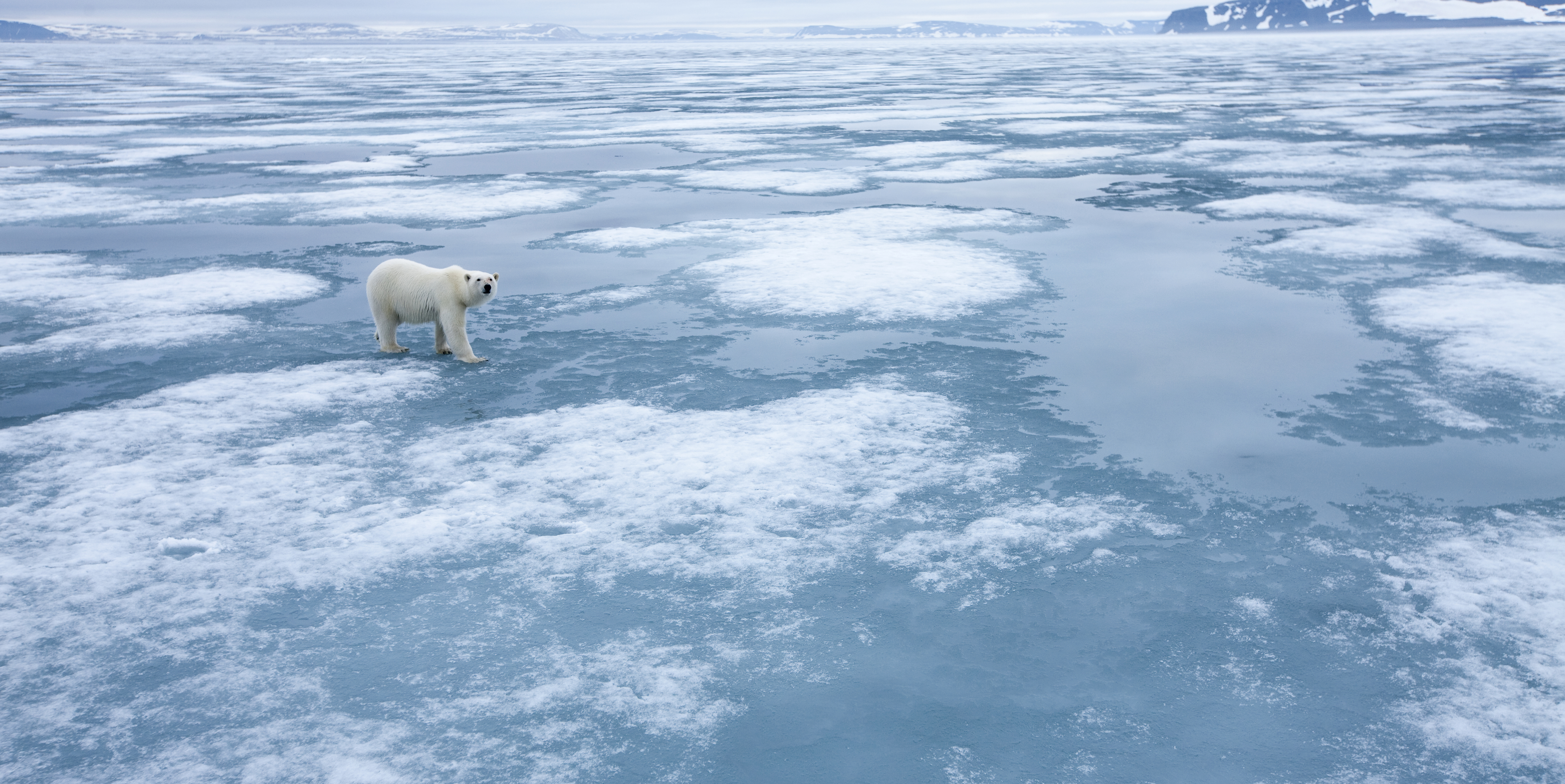 Global Environmental Issues