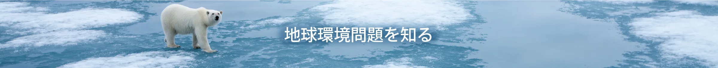 地球環境問題を知る