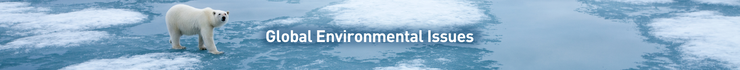 Global Environmental Issues