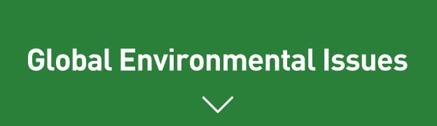 Global Environmental Issues