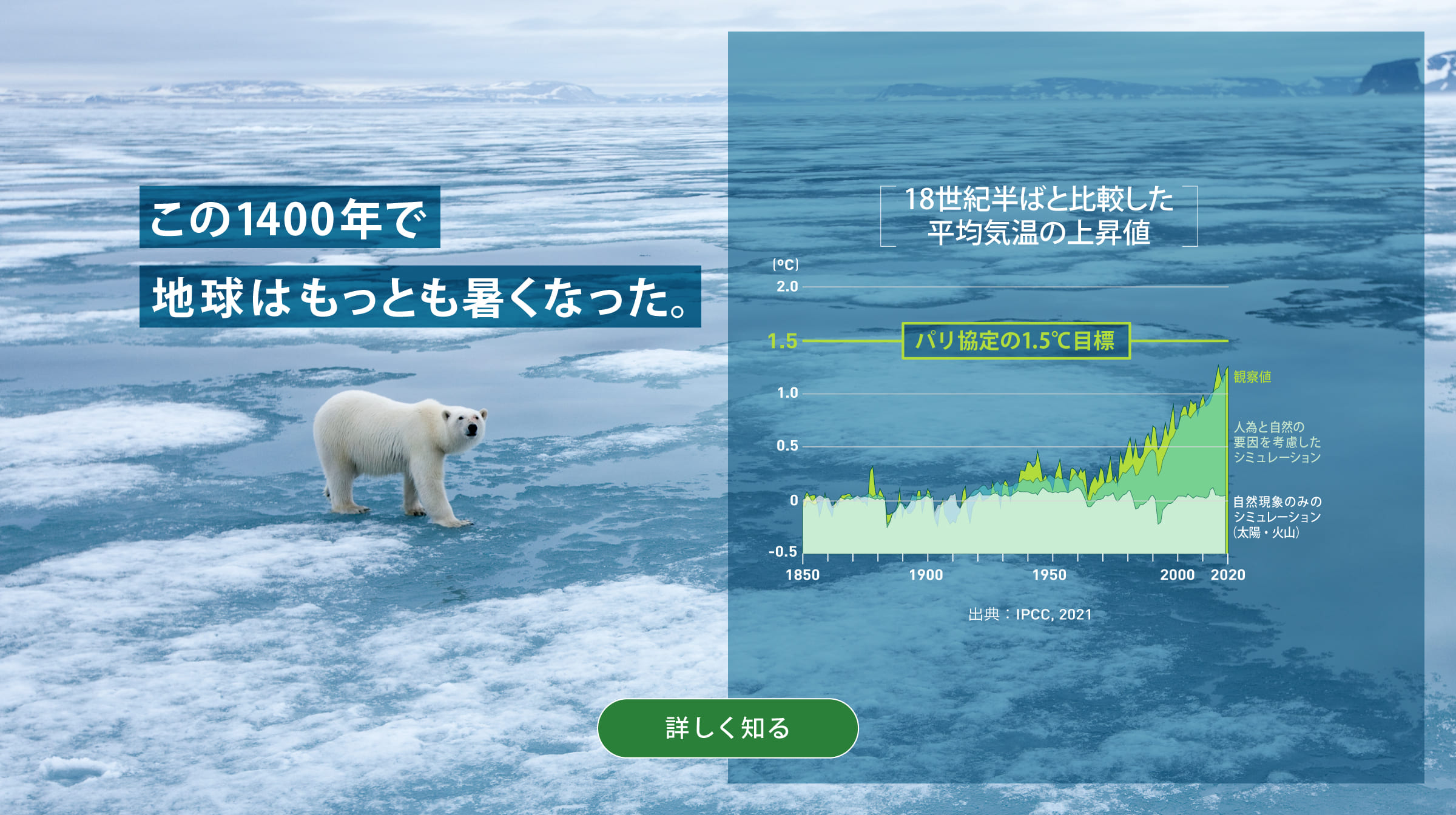この1400年で地球はもっとも暑くなった。グラフ：1850年から2020年までの平均気温の上昇値。 太陽と火山の自然現象のみのシミュレーションでは、平均気温は変わっていない。人為と自然の要因を考慮したシミュレーションと観察値では、平均気温は1950年ごろから右肩上がりで上昇し、あとわずかでパリ協定で合意された1.5℃の上限に達する。出典：気候変動に関する政府間パネル(IPCC),2021。背景写真：北極の流氷の上にたたずむシロクマ。詳しく知る