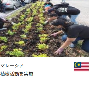 マレーシア 植樹活動を実施