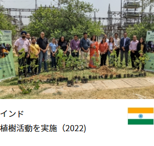 インド 植樹活動を実施（2022)