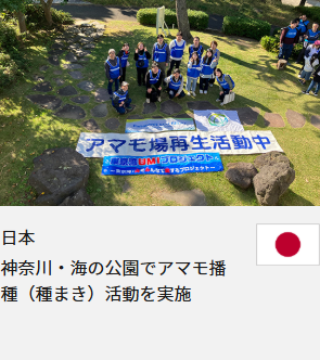 日本 神奈川・海の公園でアマモ播種（種まき）活動を実施