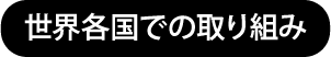 世界各国での取り組み