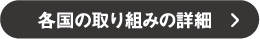 各国の取り組みの詳細