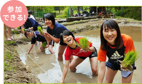 Panasonic ECO RELAY JAPAN