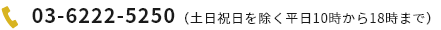 03-6222-5250（土日祝日を除く平日10時から18時まで）