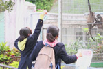 MONKEY