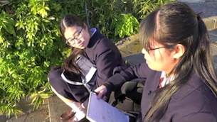 階段の片隅で　東京都桐朋女子中学校
