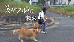 犬（ワン）ダフルな未来