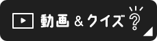 動画&クイズ