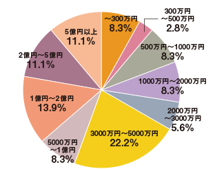 〜300万円8.3%/300万円〜500万円2.8%/500万円〜1000万円8.3%/1000万円〜2000万円8.3%/2000万円〜3000万円5.6%/3000万円〜5000万円22.2%/5000万円〜1億円8.3%/1億円〜2億円13.9%/2億円〜5億円11.1%/5億円以上11.1%