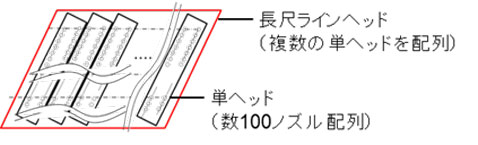 図3:長尺ラインヘッドの模式図