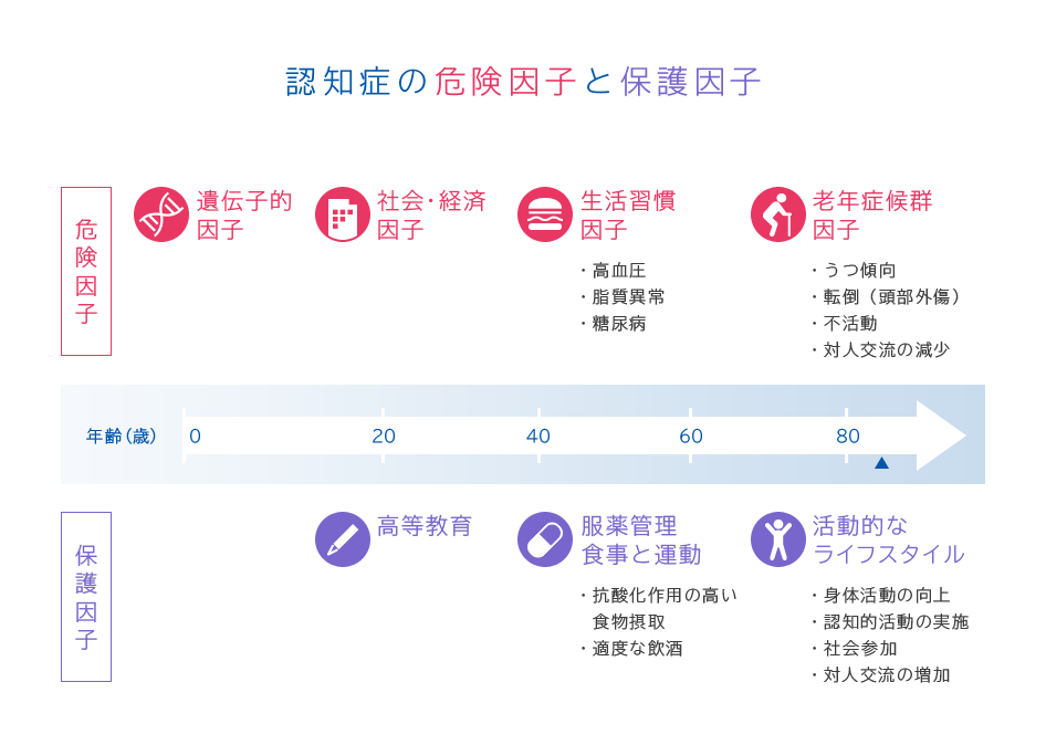 認知症の危険因子と保護因子 危険因子 遺伝子的 因子 社会・経済 因子 生活習慣 因子(・高血圧 ・脂質異常 ・糖尿病) 老年症候群 因子(・うつ傾向 ・転倒(頭部外傷) ・不活動 ・対人交流の減少) 保護因子 高等教育 服薬管理 食事と運動(・抗酸化作用の高い食物摂取 ・適度な飲酒) 活動的な ライフスタイル(・身体活動の向上 ・認知的活動の実施 ・社会参加 ・対人交流の増加)