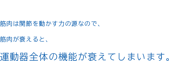 筋肉は関節を動かす力の源なので、筋肉が衰えると、運動器全体の機能が衰えてしまいます。