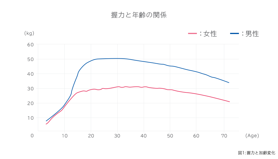 握力と年齢の関係 図1:握力と加齢変化
