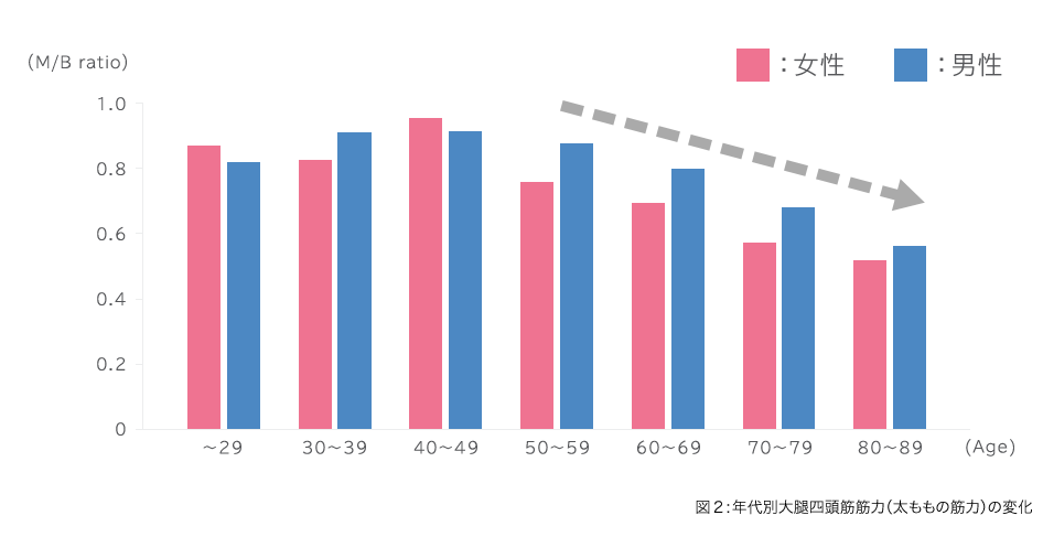 図2:年代別大腿四頭筋筋力(太ももの筋力)の変化