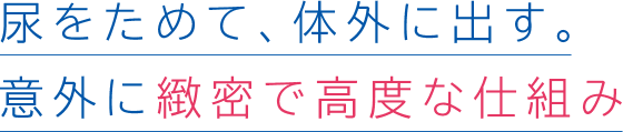 尿をためて、体外に出す。意外に緻密で高度な仕組み