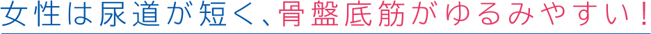 女性は尿道が短く、骨盤底筋がゆるみやすい!