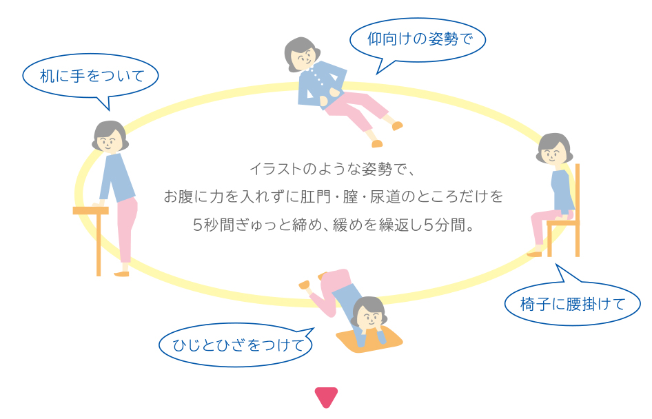 図:仰向け。椅子に腰掛け。ひじとひざをつけて。机に手をついて。などの姿勢でお腹に力を入れずに肛門・膣・尿道のところだけを5秒間締め、緩めを繰り返し5分間。