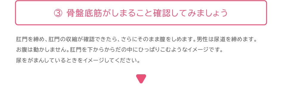 解説:骨盤底筋体操のポイント3:骨盤底筋がしまることを確認してみましょう。肛門を締め、肛門の収縮が確認できたら、さらにそのまま膣をしめます。男性は尿道を締めます。 お腹は動かしません。肛門を下からからだの中にひっぱりこむようなイメージです。 尿をがまんしているときをイメージしてください。