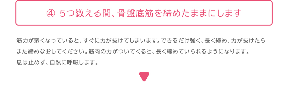 解説:骨盤底筋体操のポイント4:5つ数える間、骨盤底筋を締めたままにします。筋力が弱くなっていると、すぐに力が抜けてしまいます。できるだけ強く、長く締め、力が抜けたらまた締めなおしてください。筋肉の力がついてくると、長く締めていられるようになります。 息は止めず、自然に呼吸します。