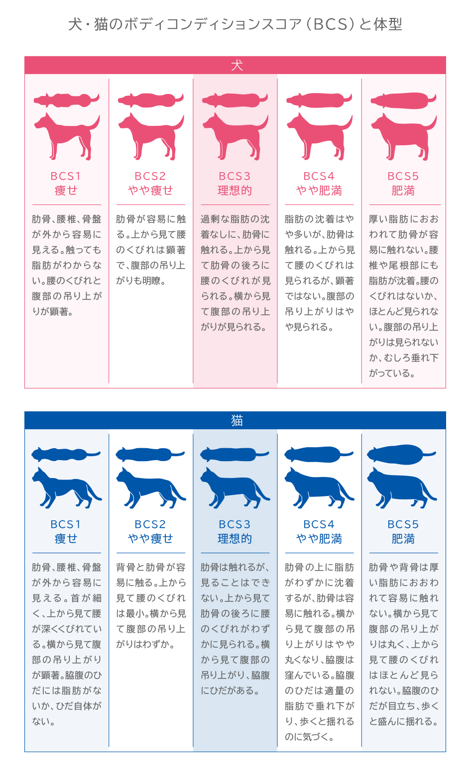 図:犬、猫のボディコンディションスコアと体型の解説図
