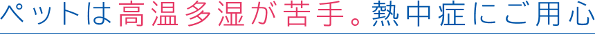 ペットは高温多湿が苦手。熱中症にご用心