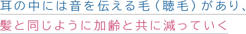 耳の中には音を伝える毛(聴毛)があり、髪と同じように加齢と共に減っていく