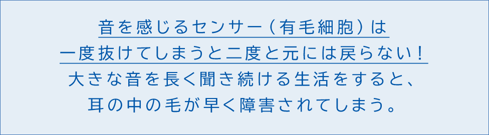 音を感じるセンサー(有毛細胞)は、一度抜けてしまうと二度と元には戻らない!大きな音を長く聴き続ける生活をすると、耳の中の毛が早く障害されてしまう。