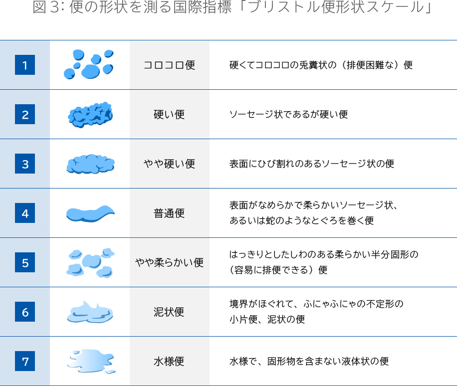 図3:便の形状を測る国際指標「ブリストル便形状スケール」コロコロ便、硬い便、やや硬い便、普通便、やや柔らかい便、泥状便、水様便など、さまざまな便を解説。