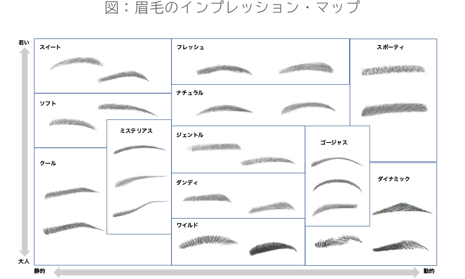 図:眉毛のインプレッション・マップ
