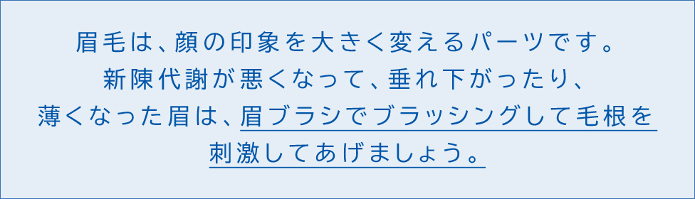 眉毛は、顔の印象を大きく変えるパーツです。新陳代謝が悪くなって、垂れ下がったり、薄くなった眉は、眉ブラシでブラッシングして毛根を刺激してあげましょう。