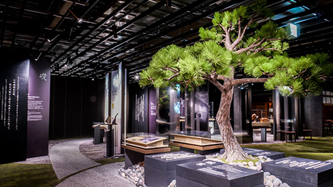 Pine tree in the exhibition room of the Konosuke Matsushita Museum