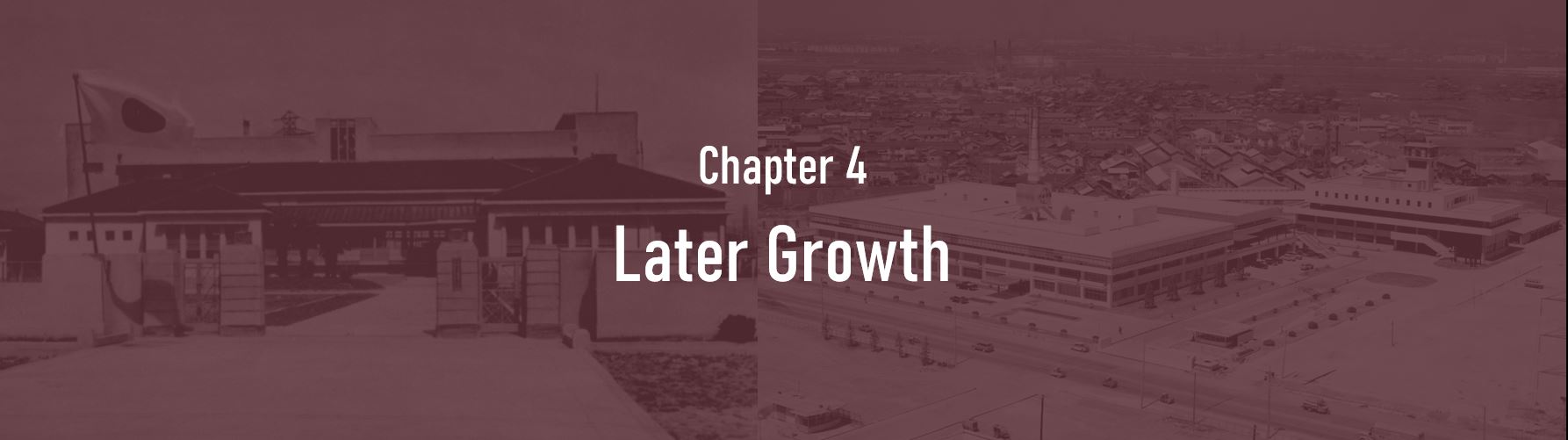 Chapter 4. Later Growth