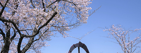 樱花广场纪念物的照片